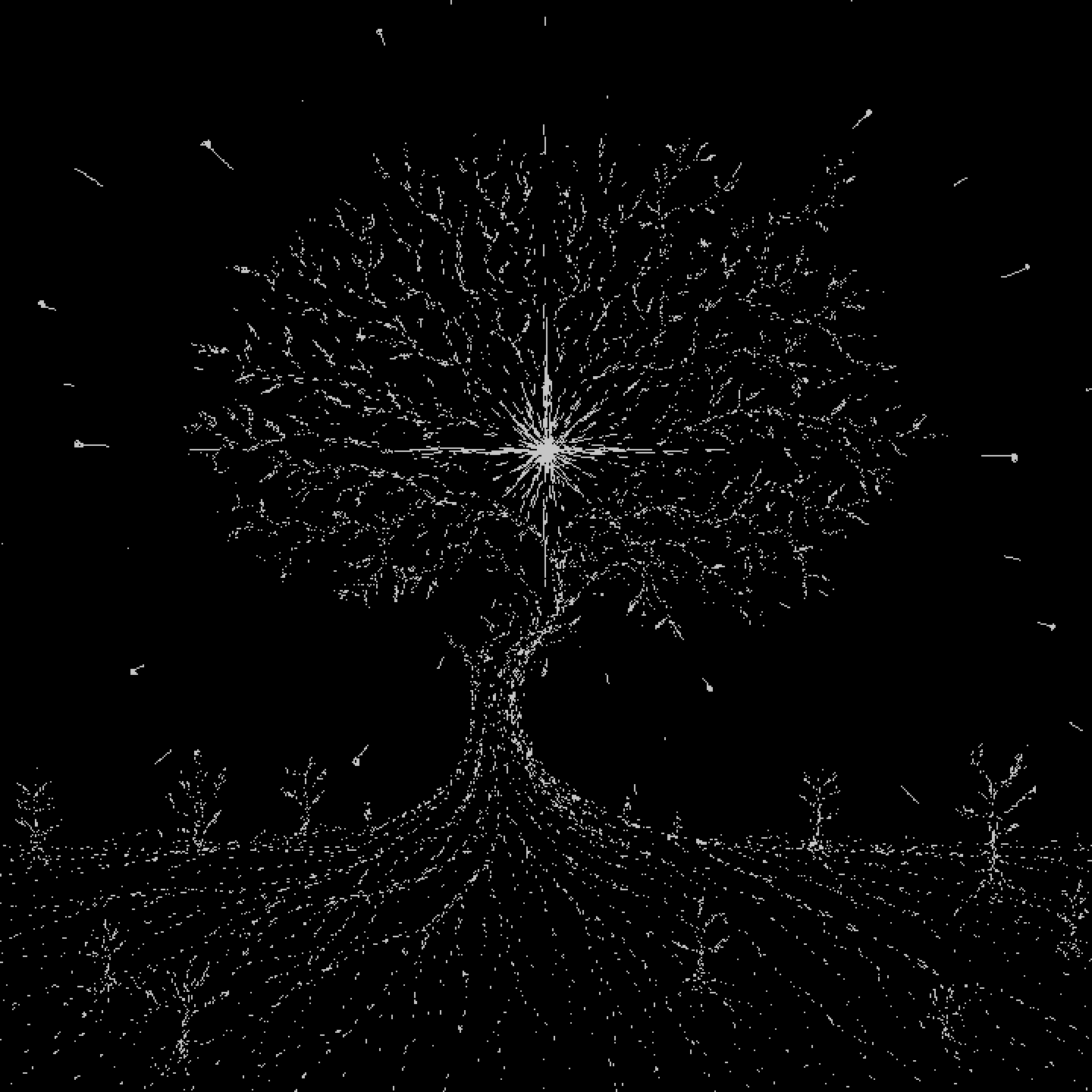Roots of Knowledge